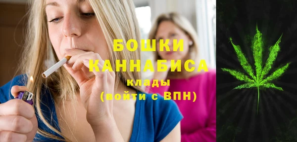 мяу мяу мука Пролетарск