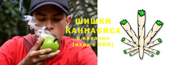 прущие крисы Магас