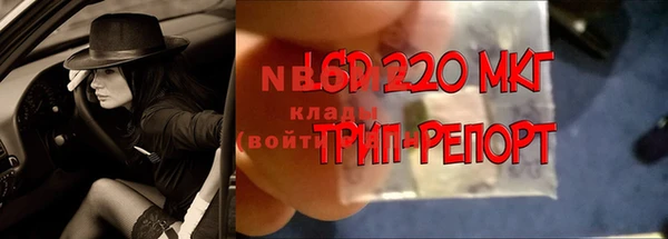 прущие крисы Магас