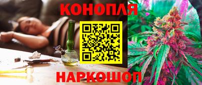 прущие грибы Беслан