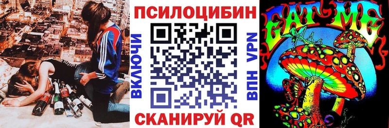 наркошоп  Краснознаменск  Псилоцибиновые грибы MAGIC MUSHROOMS 