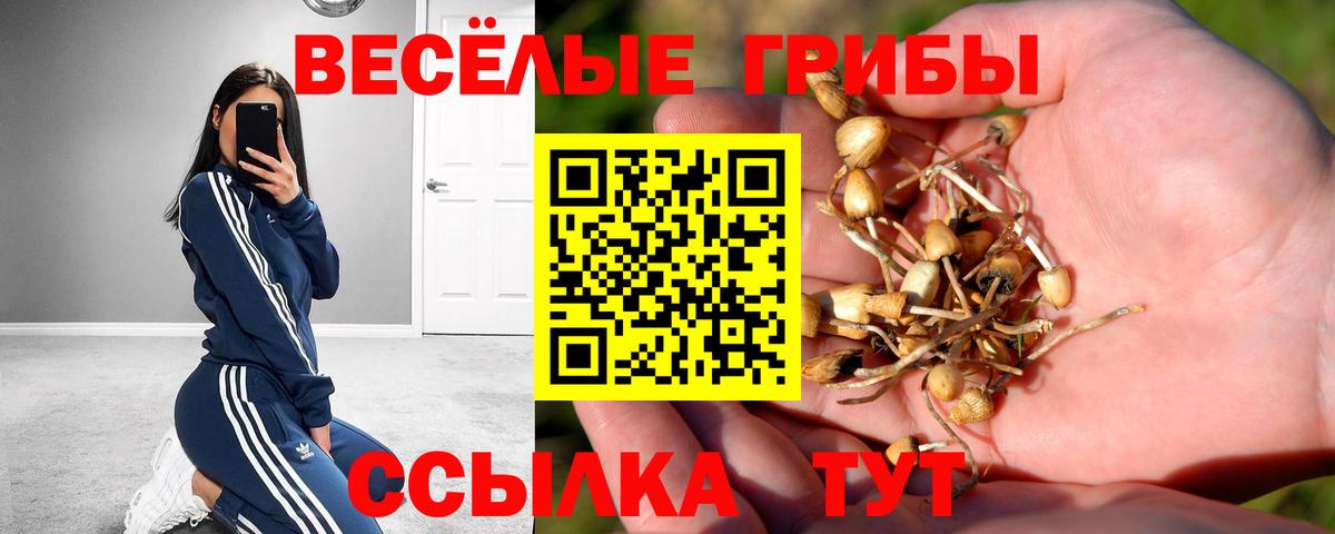 Псилоцибиновые грибы MAGIC MUSHROOMS  Вход с VPN  Краснознаменск  Галлюциногенные грибы GOLDEN TEACHER 
